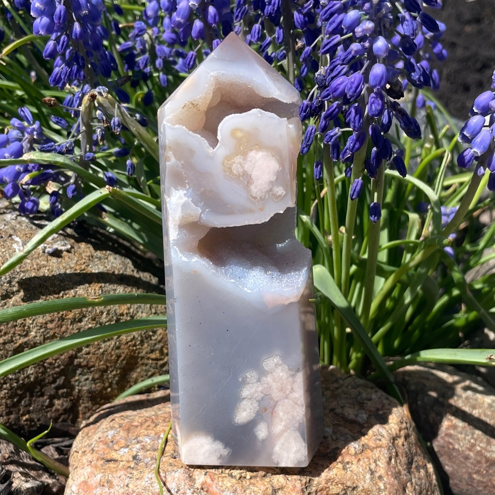 Black Flower Agate With Sparkling Druzy Cave